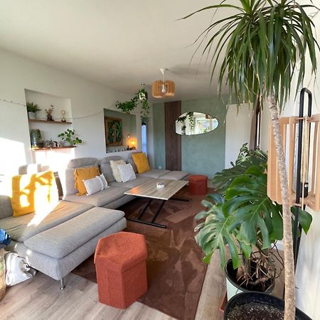 Appartement T3 - Foret & Plage Anglet Exteriör bild
