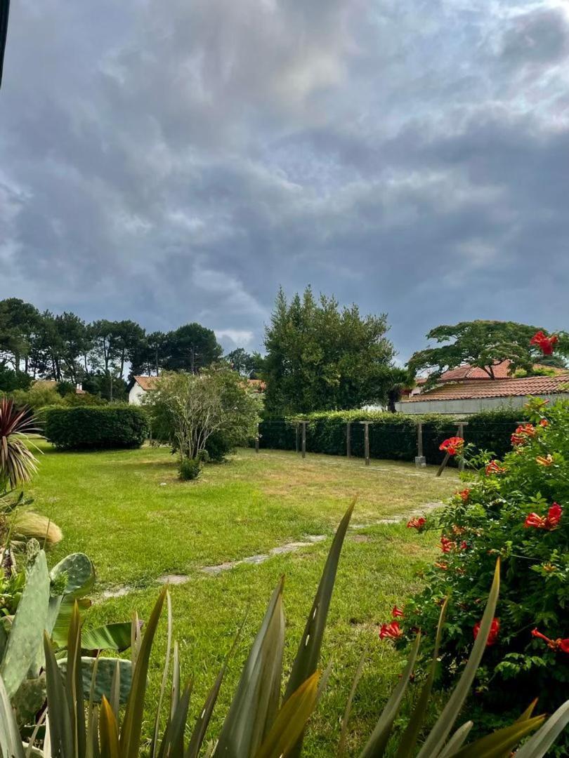 Appartement T3 - Foret & Plage Anglet Exteriör bild