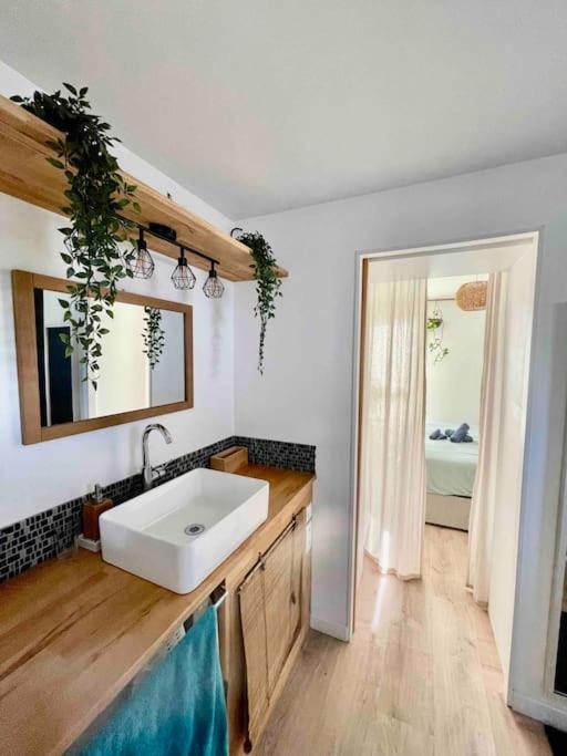 Appartement T3 - Foret & Plage Anglet Exteriör bild